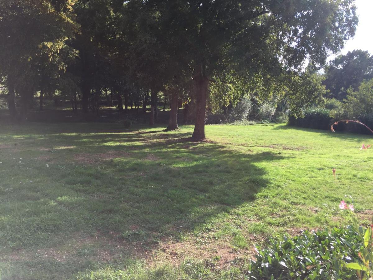 Chateau Le Barreau - Chambres D'Hotes Chemilly-sur-Yonne Εξωτερικό φωτογραφία